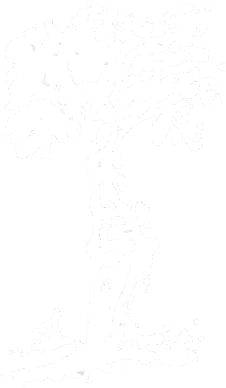 Ortofizik Logo