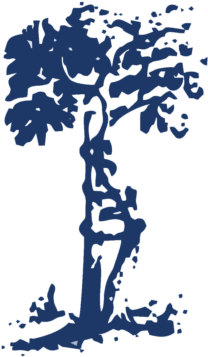 OrtoFizik Logo